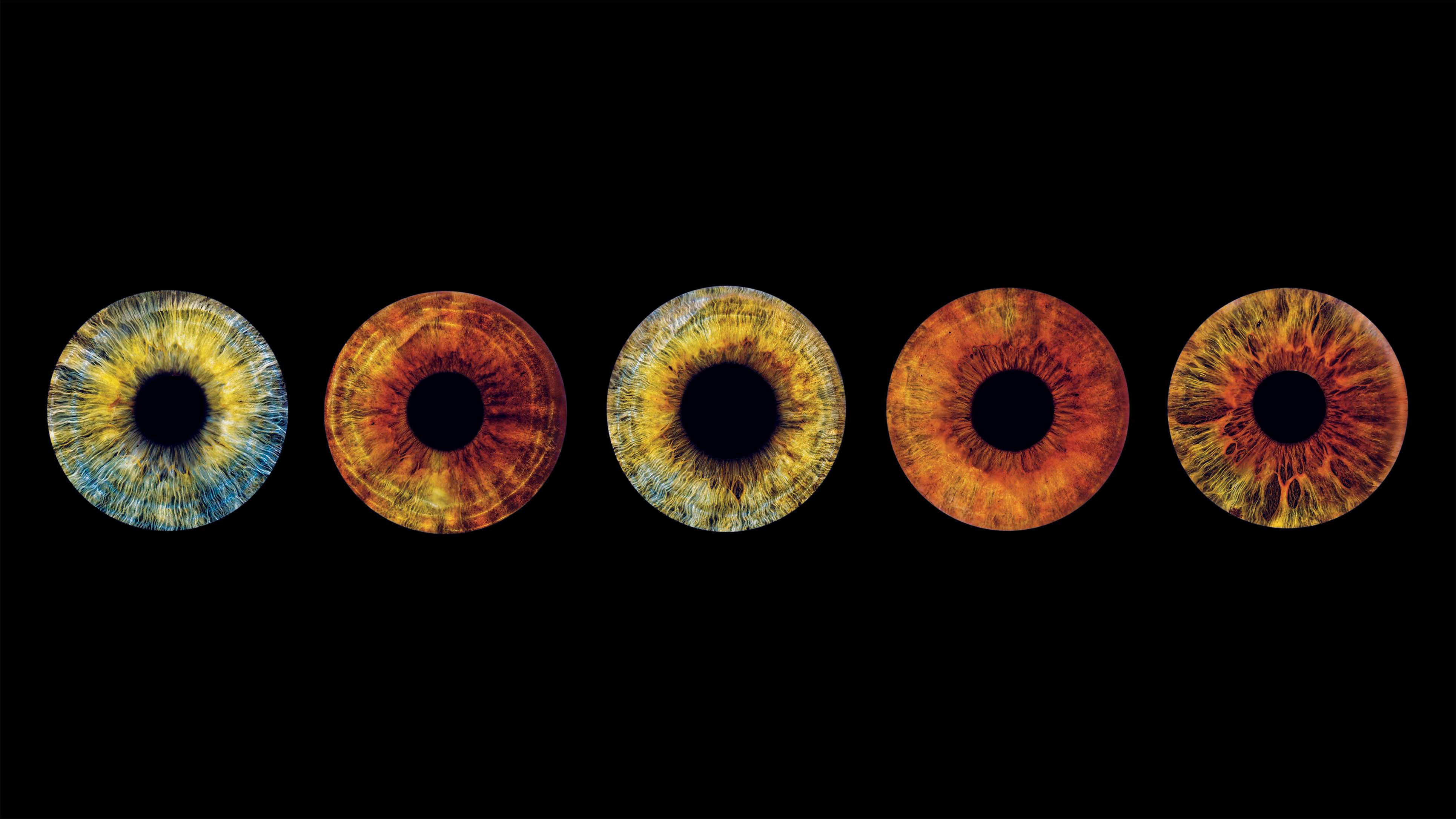 Meilleurs Vœux 2026 - ArtyPhoto