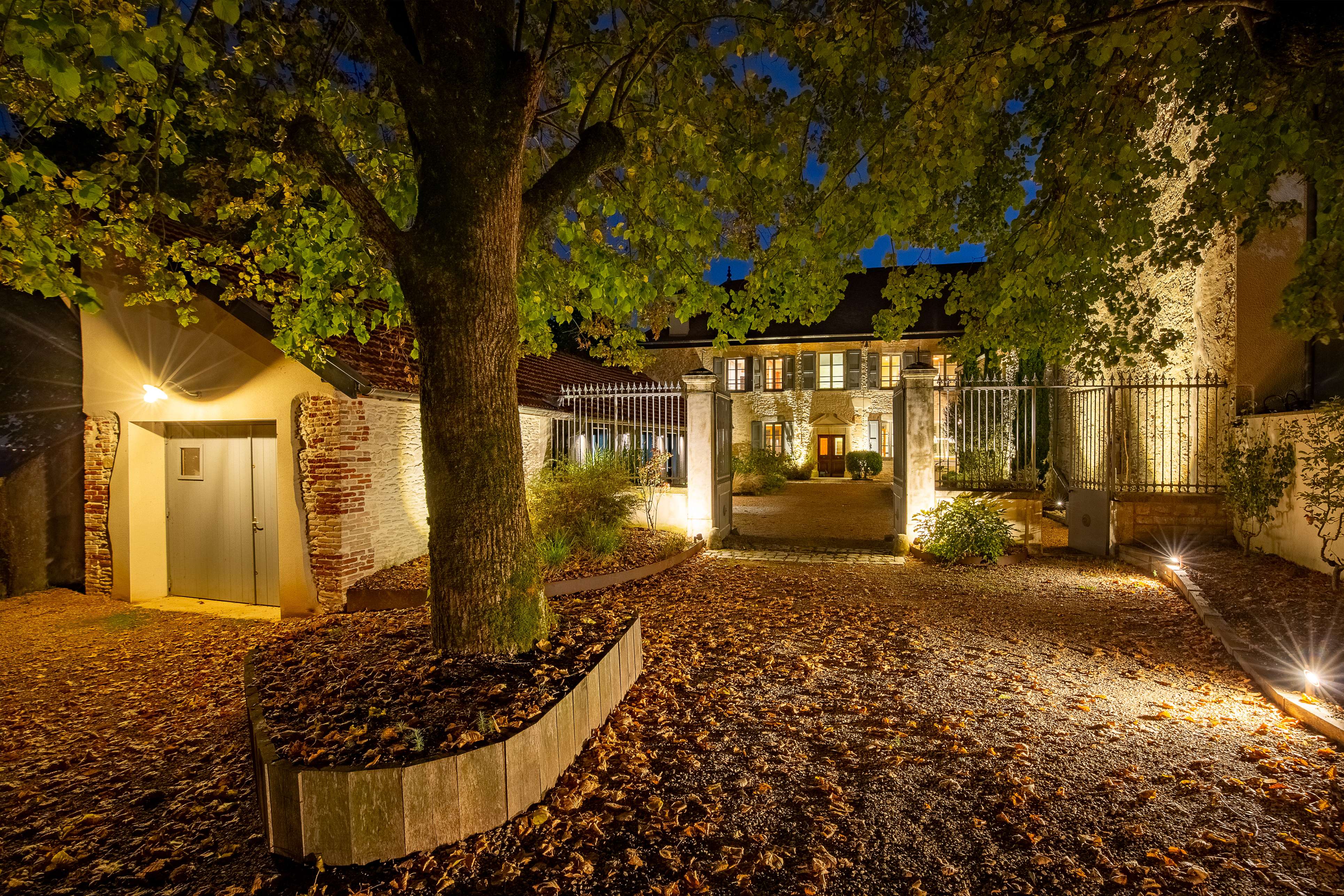 Meilleurs Vœux 2026 - ArtyPhoto