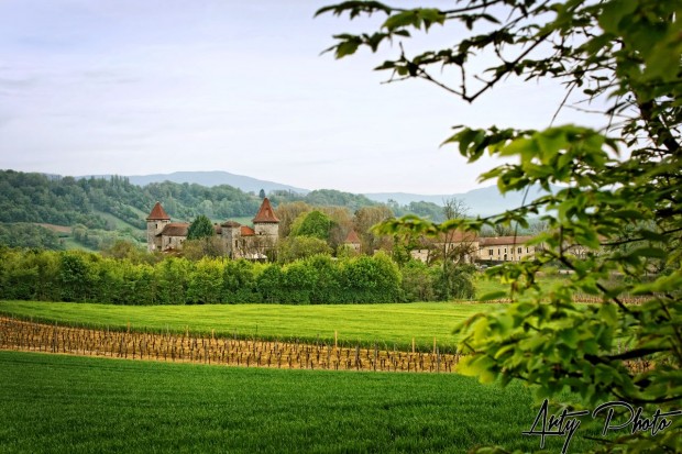 Photo de Couple au Chateau Chapeau Cornu